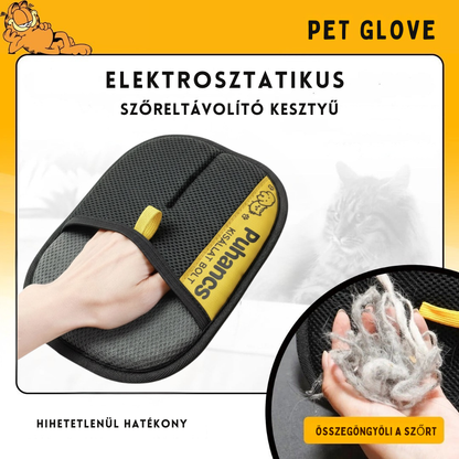 Pet Glove
