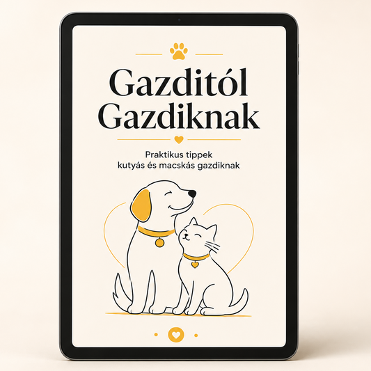 E-Book