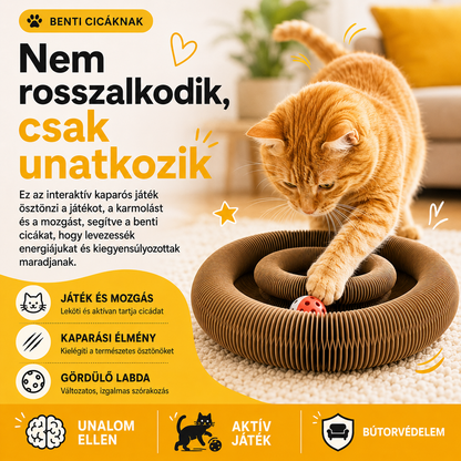 Macska kaparó játék